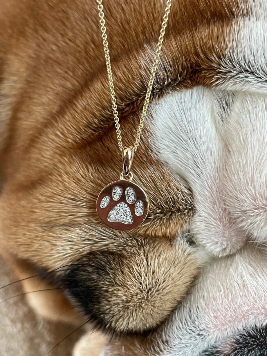 Paw Print Necklace Shown with Puppy Face