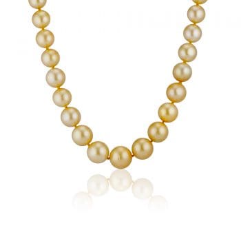 Golden South Sea Pearl Necklace 180634