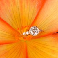 Ring in orange flower