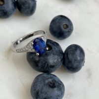 Sapphire and Blueberries