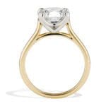 VIS-14Y/PT-R-2.72-D Viisi Engagement Ring in PLatinum and Gold