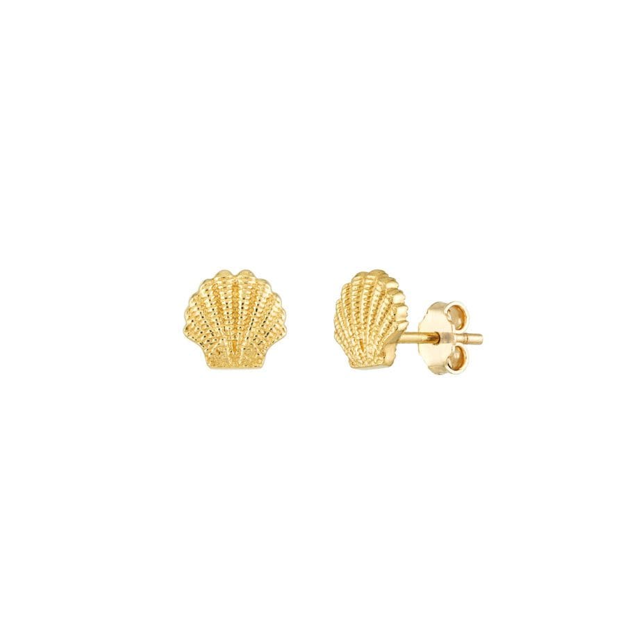 Seashell Stud earrings 14k yellow gold