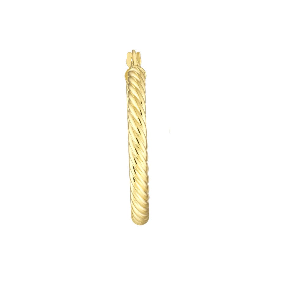 Twisted rope hoop earrings TM003922-6 Straight on