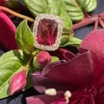 Elongated Rubellite Halo Ring