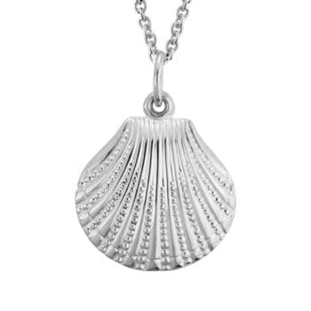 Delicate sterling silver seashell pendant on adjustable 16-18 inch cable chain necklace